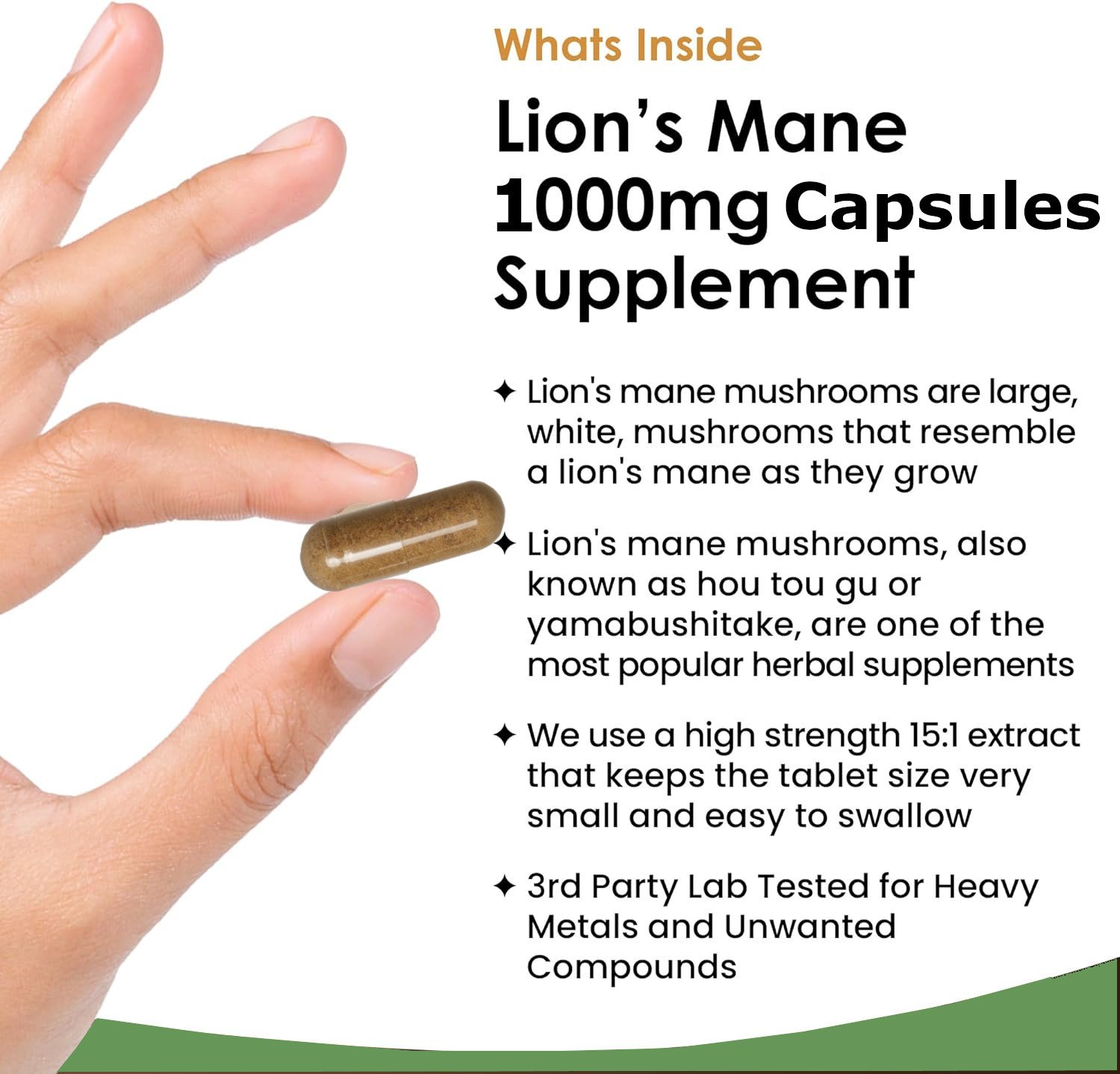 Lions Mane Mushroom Capsules - Image 5